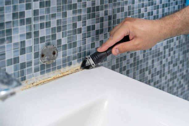 Reliable Edgerton, OH Mold Remediation Solutions